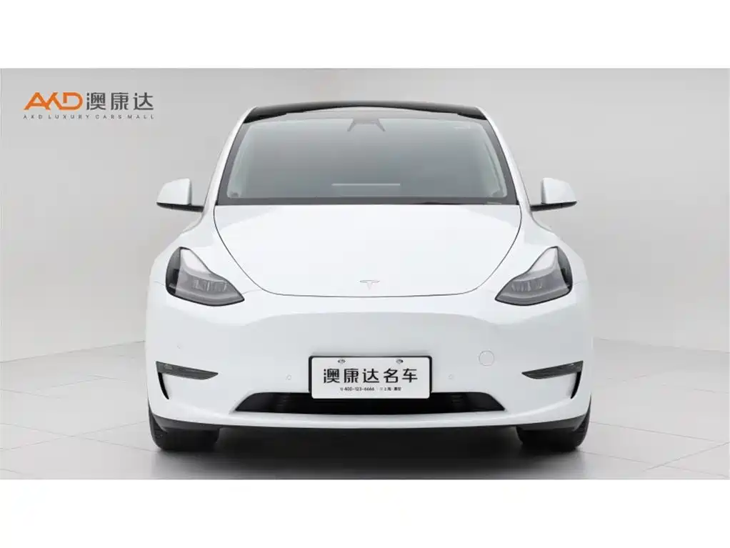 Tesla Model Y — миниатюра 2