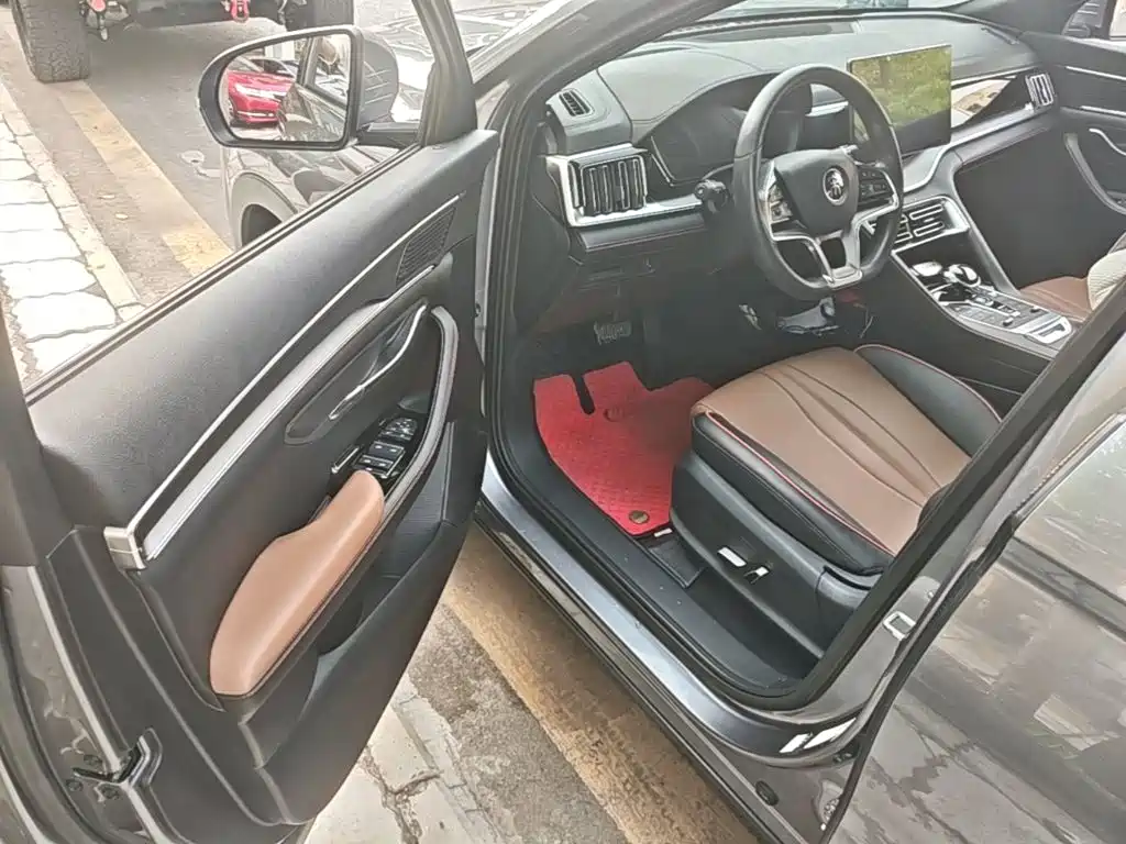 BYD PLUS — миниатюра 16