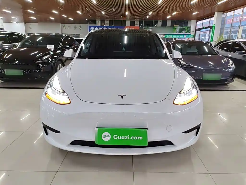 Tesla Model Y — миниатюра 3