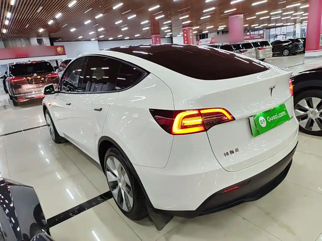 Tesla Model Y — миниатюра 5