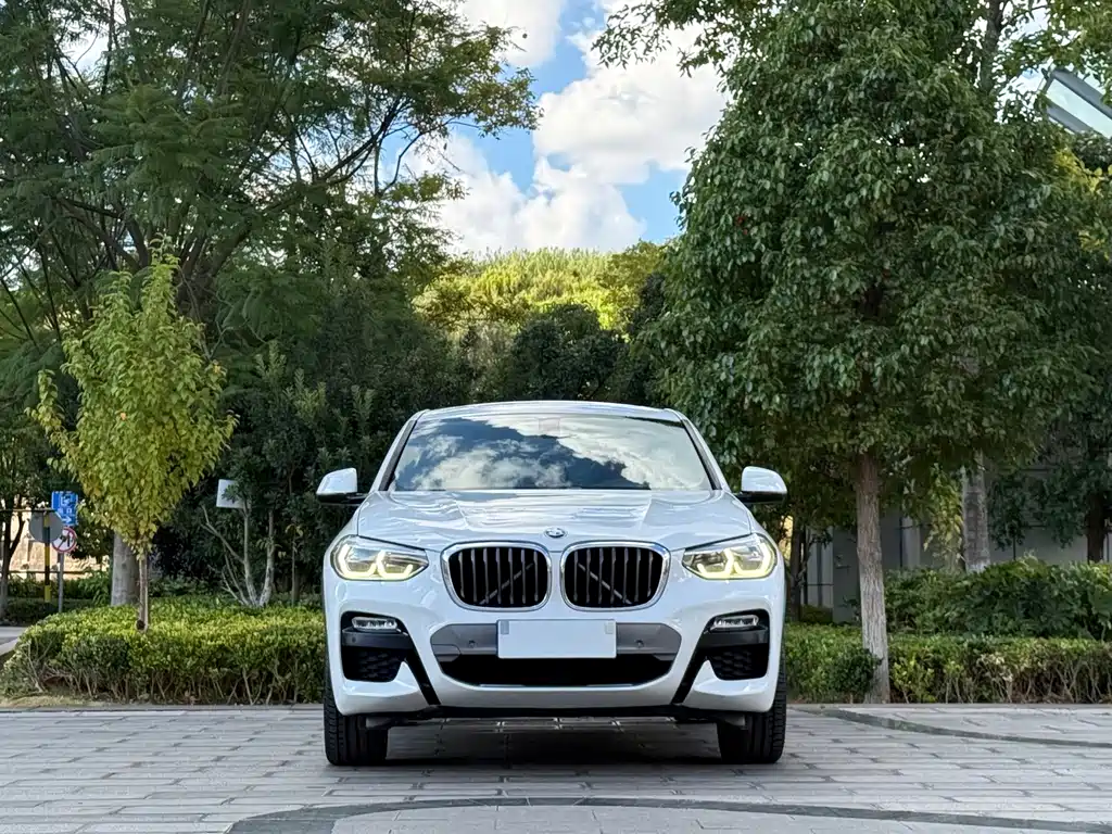 BMW X4 — миниатюра 2