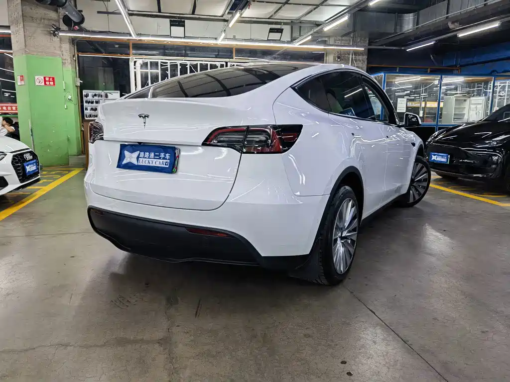 Tesla Model Y — миниатюра 4