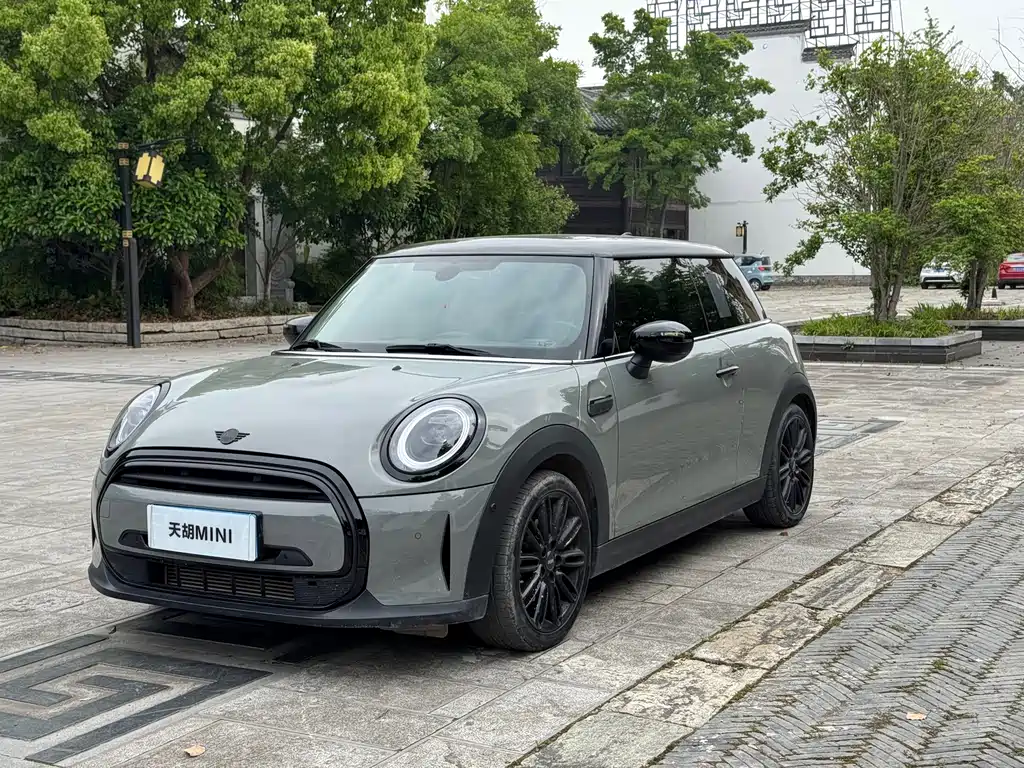 Mini Mini 2021