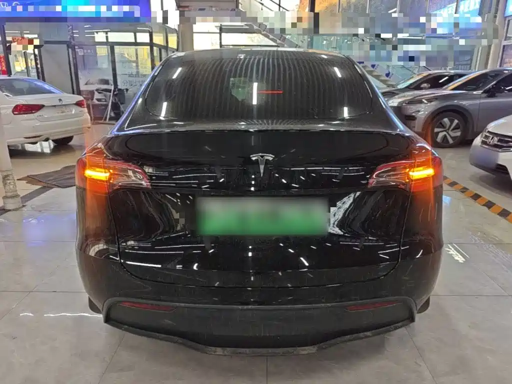 Tesla Model Y — миниатюра 6