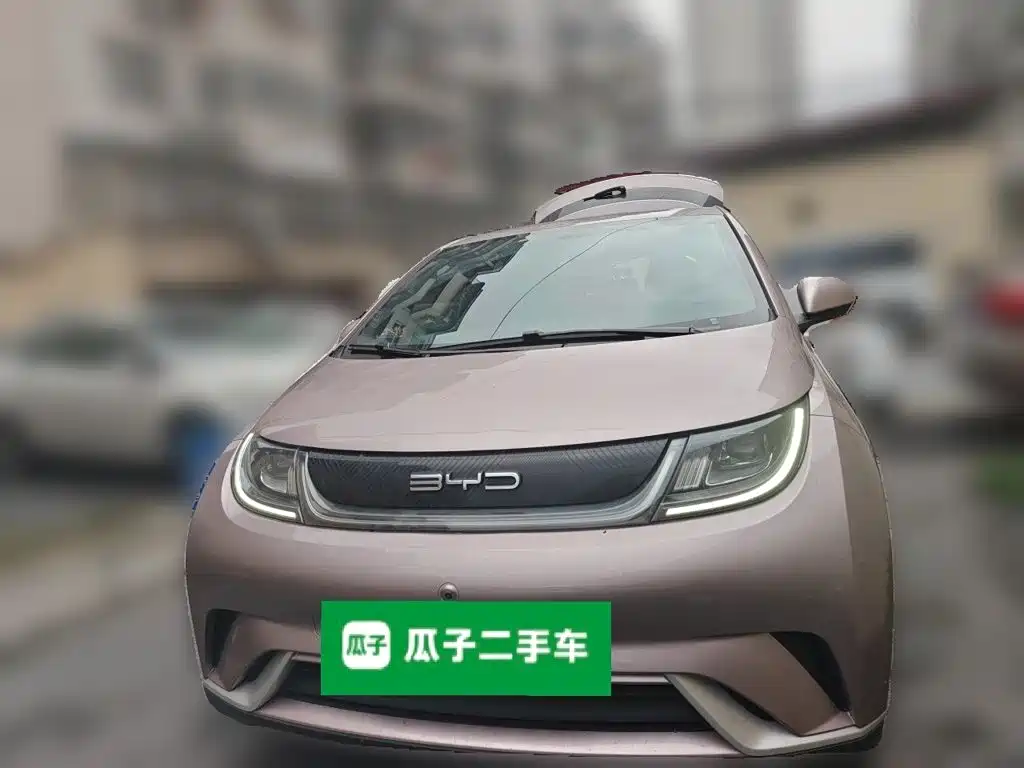 BYD Dolphin — миниатюра 2