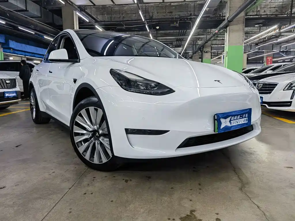 Tesla Model Y — миниатюра 3