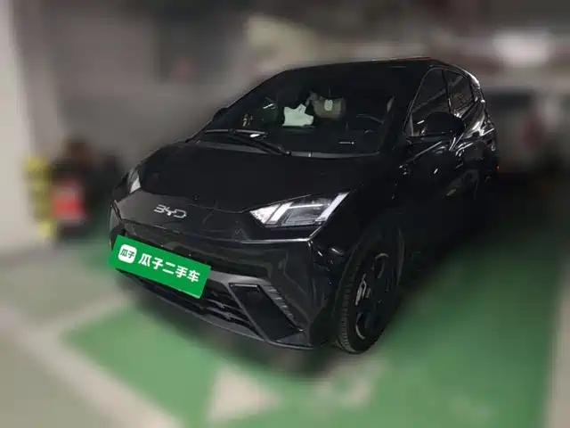 2024 BYD Seagull