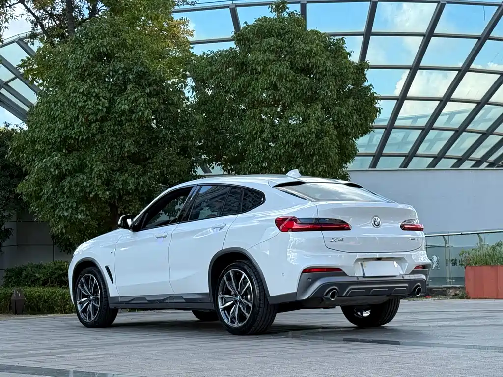 BMW X4 — миниатюра 9