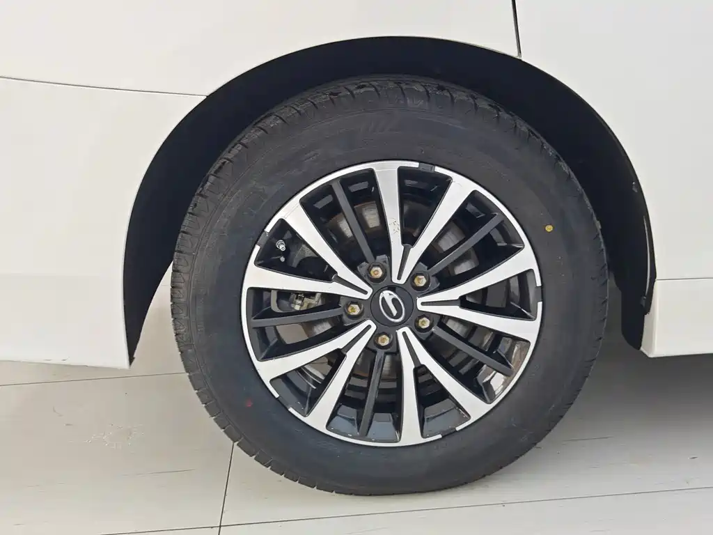 GAC Motor Trumpchi M8 — миниатюра 16