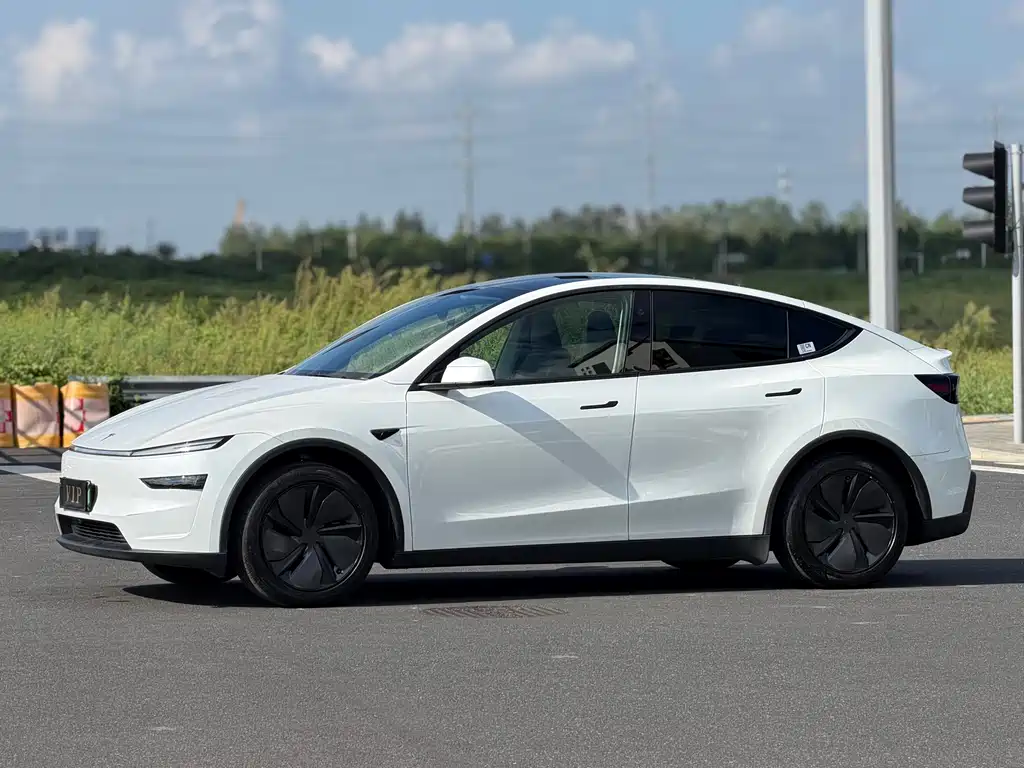 Tesla Model Y — миниатюра 10