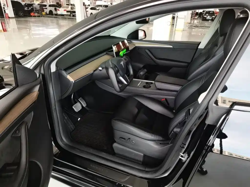 Tesla Model Y — миниатюра 15