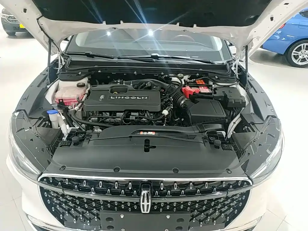 Lincoln Z — миниатюра 20