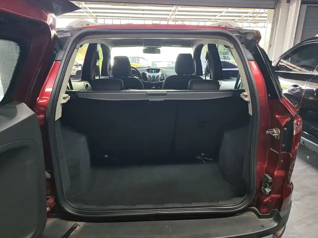 Ford Ecosport — миниатюра 19