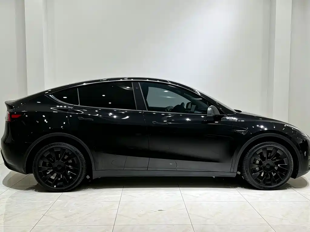 Tesla Model Y — миниатюра 4