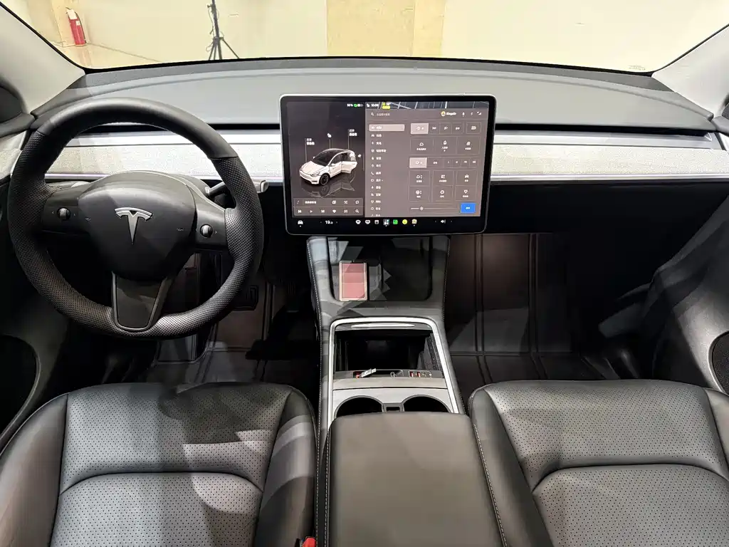 Tesla Model Y — миниатюра 6