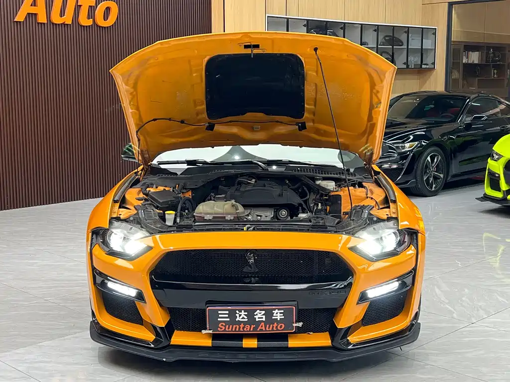 Ford Mustang — миниатюра 33
