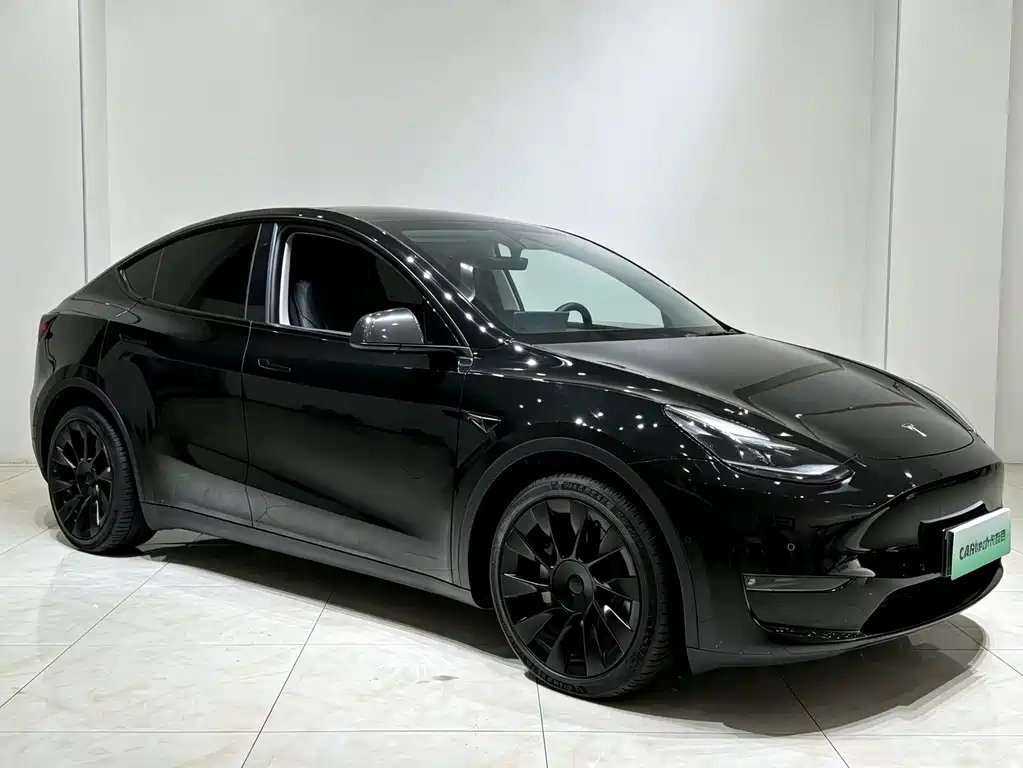 Tesla Model Y — миниатюра 3