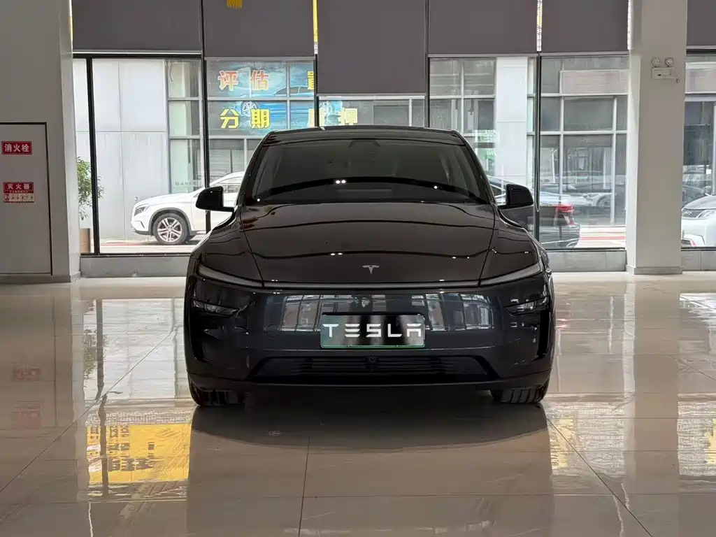 Tesla Model Y — миниатюра 2