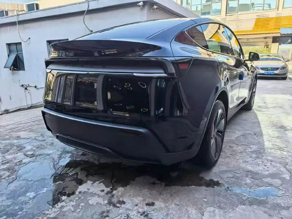 Tesla Model Y — миниатюра 7