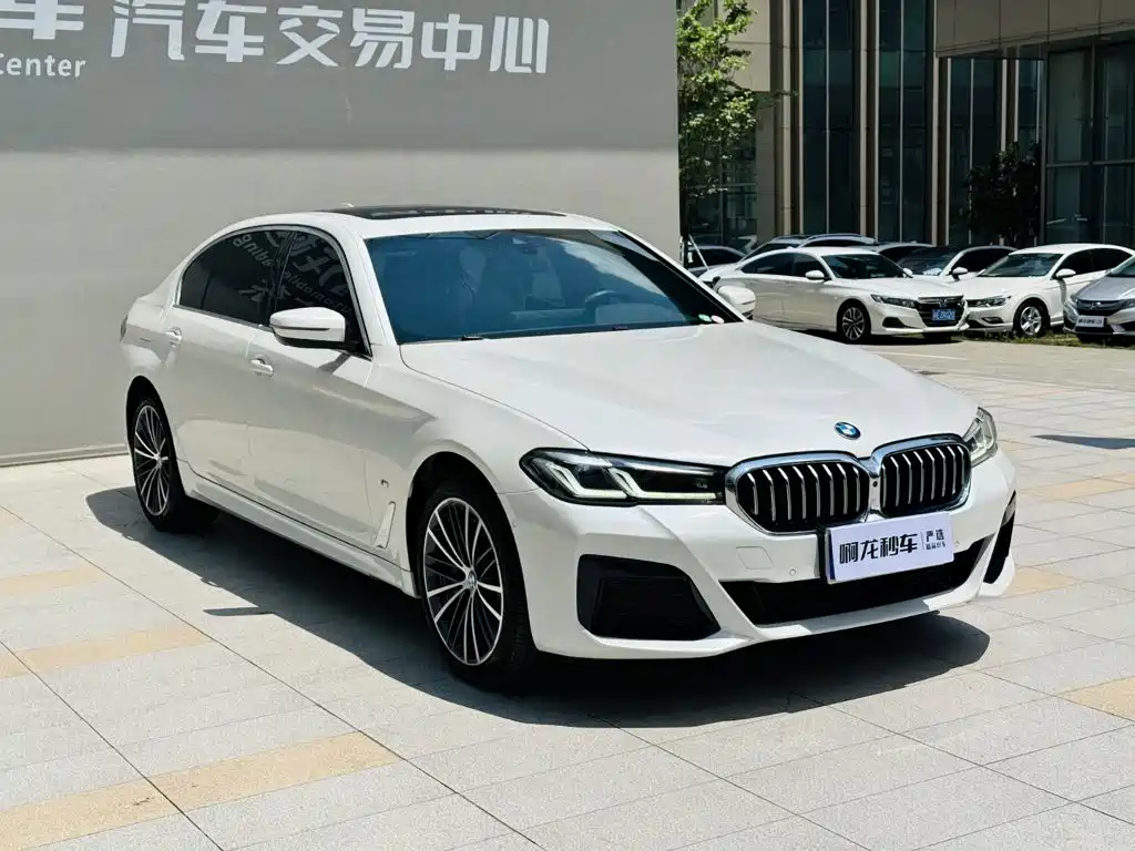 BMW 5 Series 5 2022 530Li xDrive M Sport