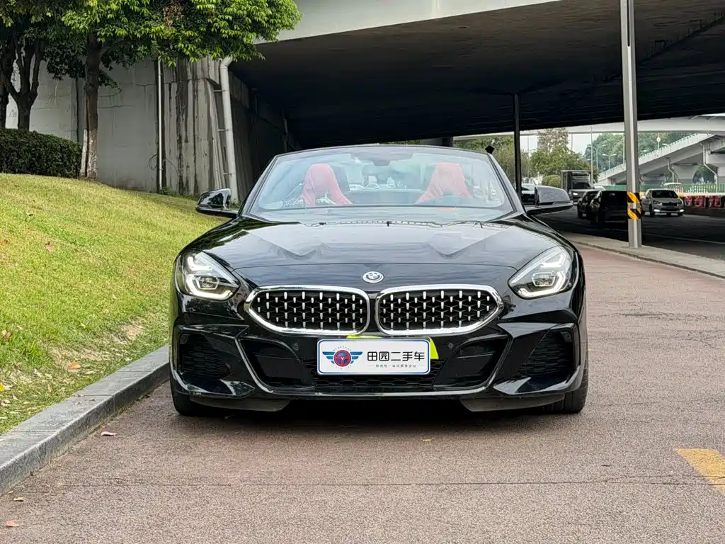 BMW Z4 — миниатюра 2
