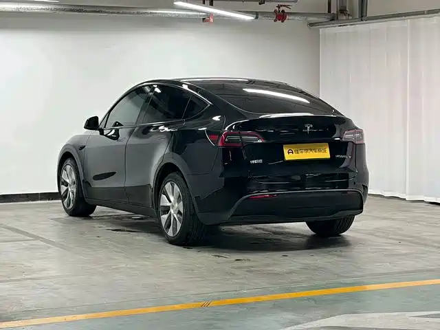 Tesla Model Y — миниатюра 4