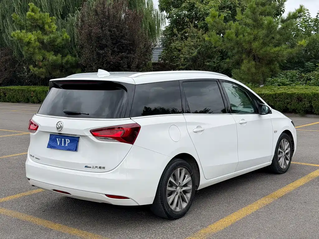 Buick GL6 — миниатюра 6