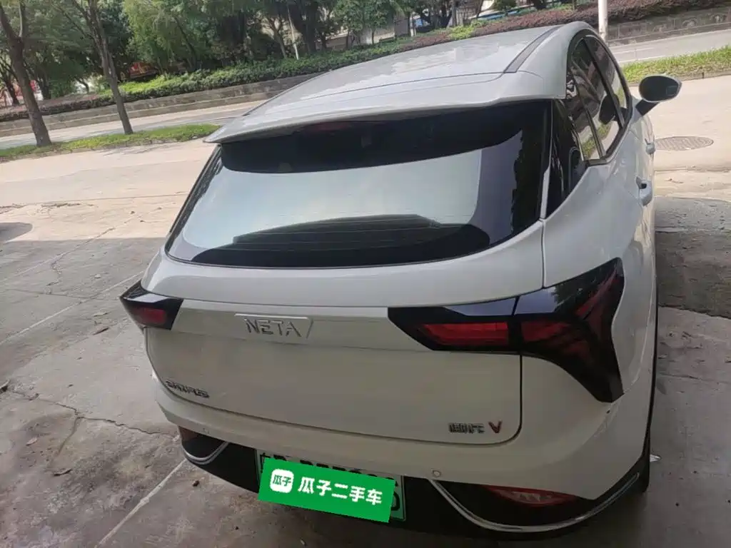 Neta Neta V — миниатюра 4