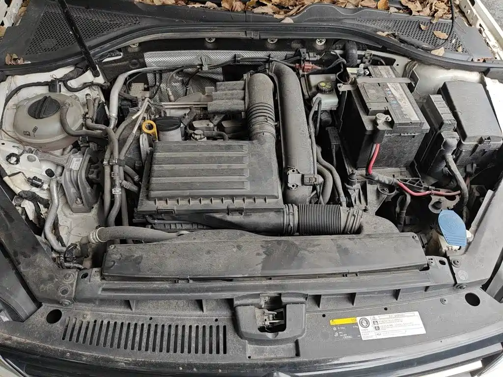 Volkswagen Lamando — миниатюра 11