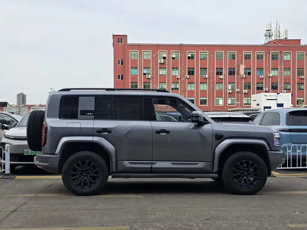 FANG CHENG BAO LEOPARD 5