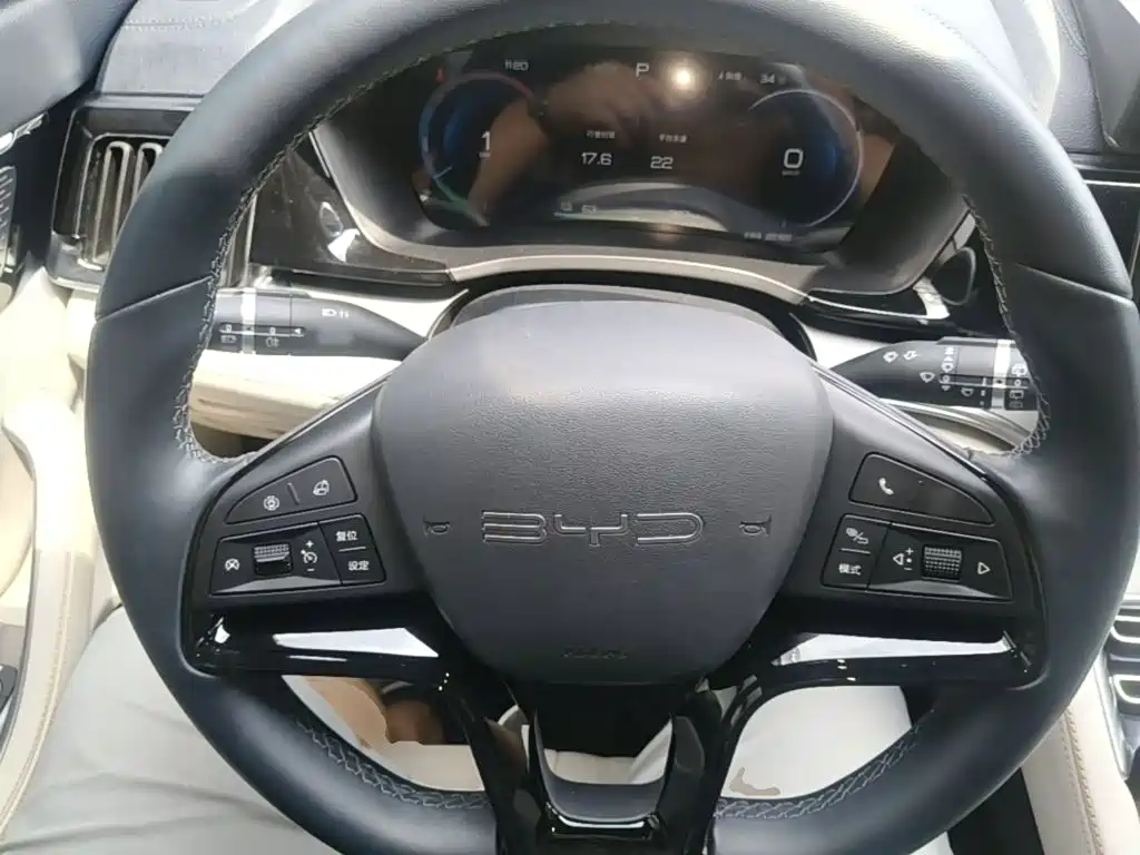 BYD PLUS New Energy — миниатюра 11