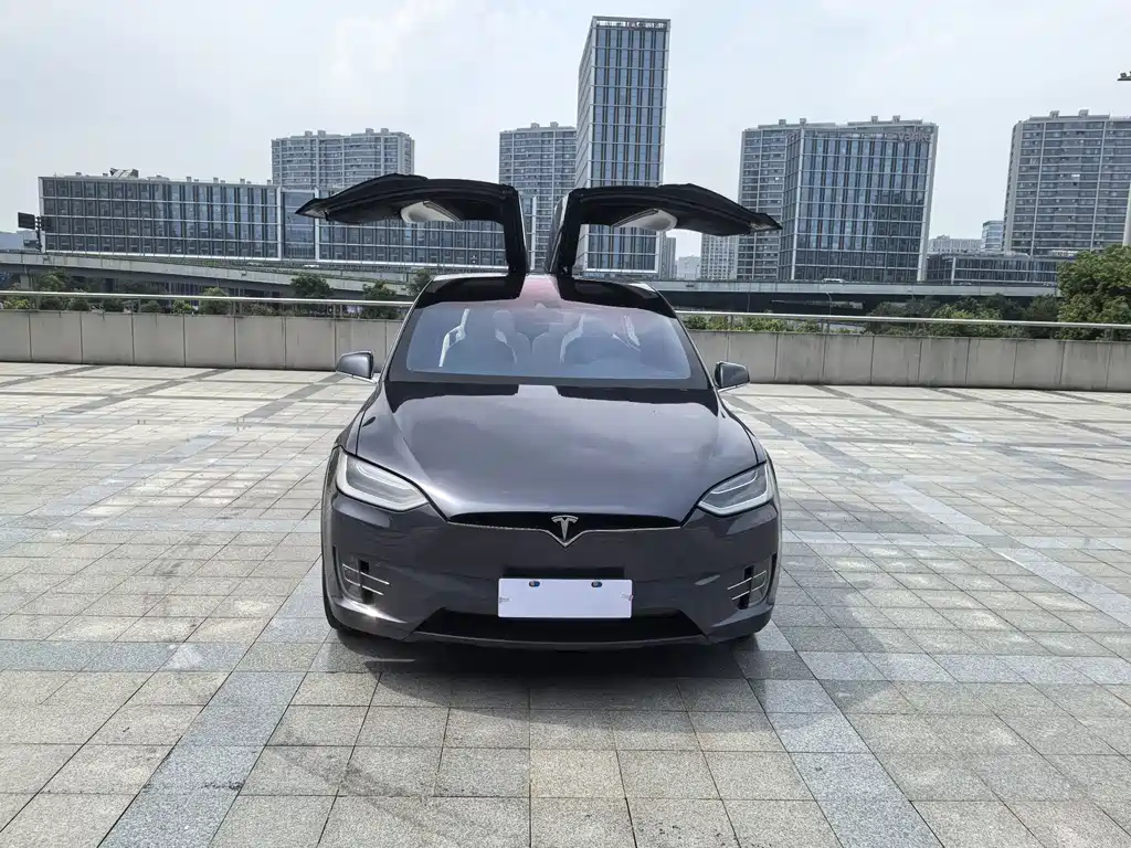 Tesla Model X — миниатюра 12