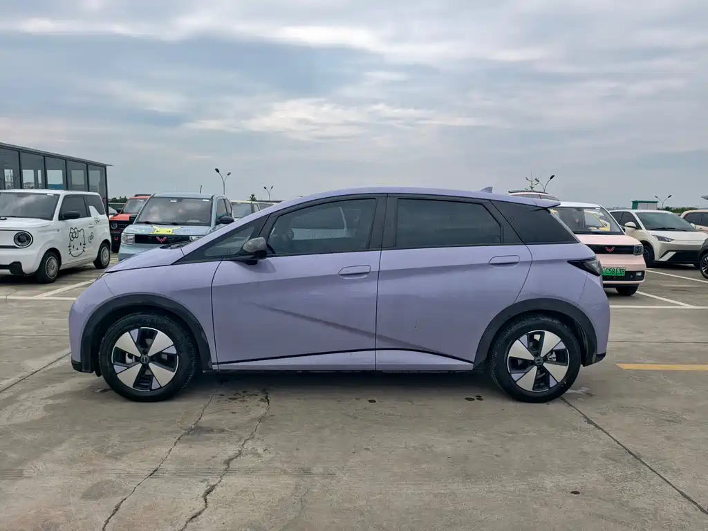 BYD Dolphin — миниатюра 3