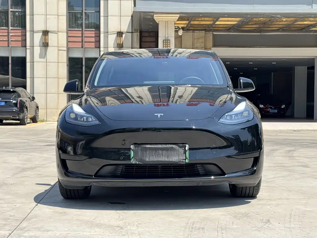 Tesla Model Y — миниатюра 2