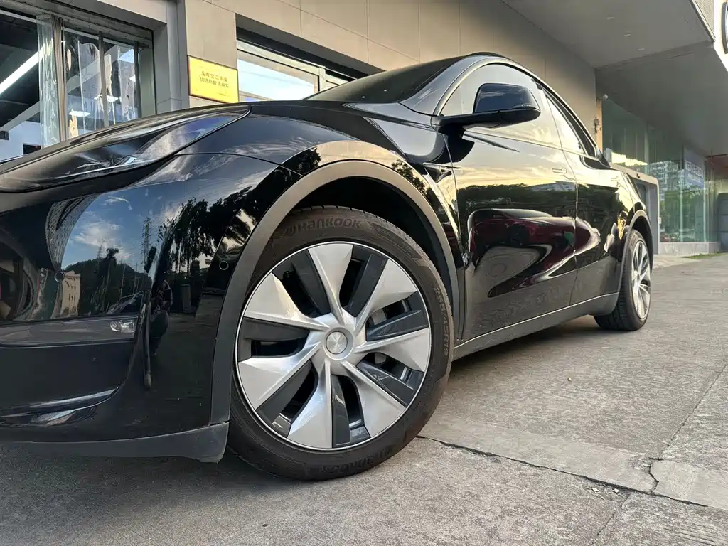 Tesla Model Y — миниатюра 6