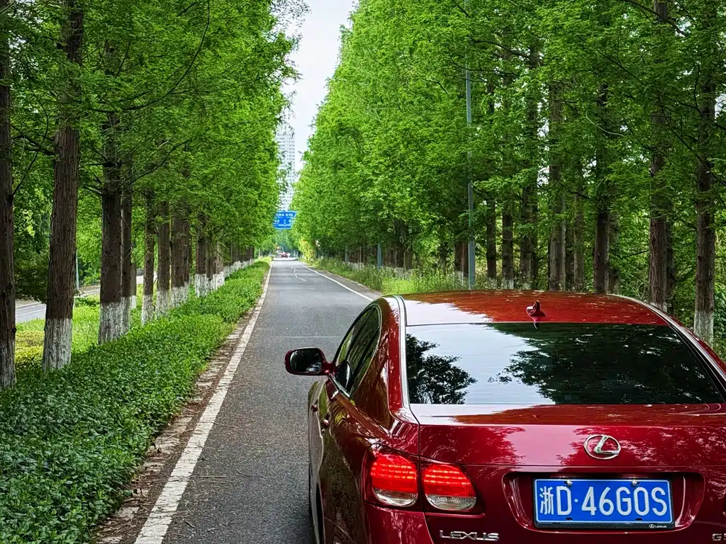 Lexus GS 2010 300