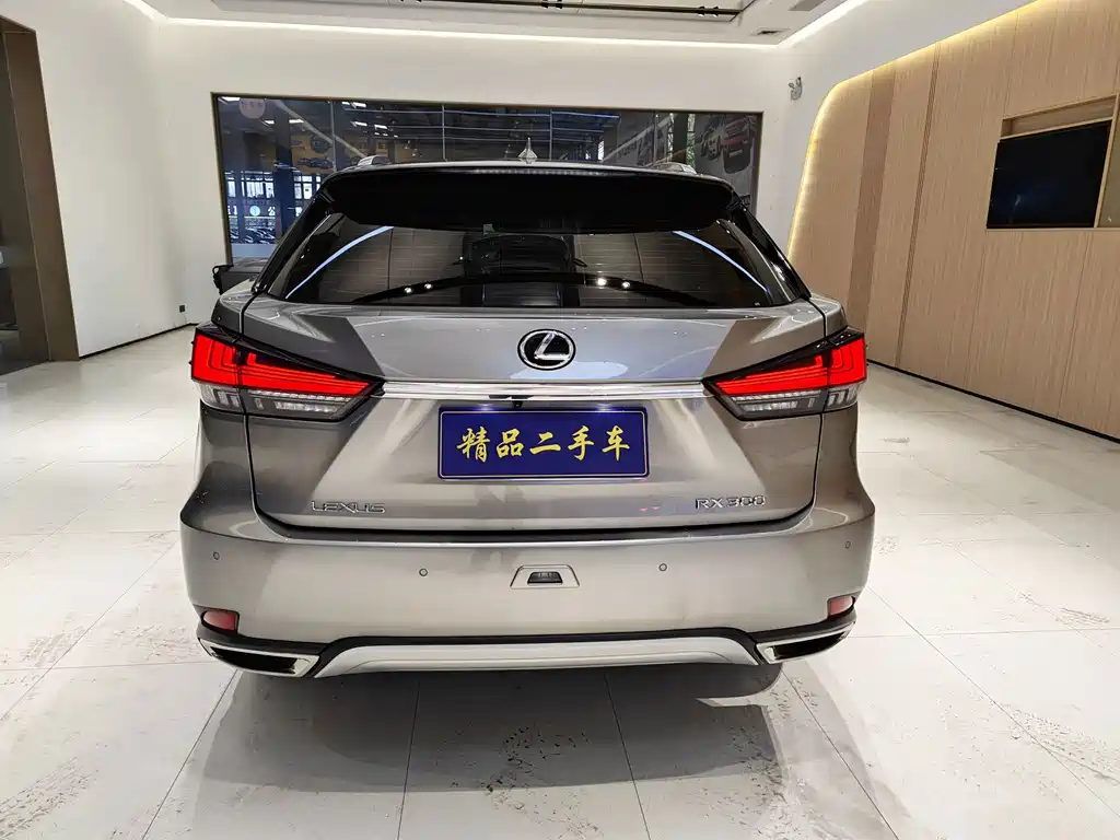 Lexus RX Facelift 300 2WD Elite Edition, фото 6