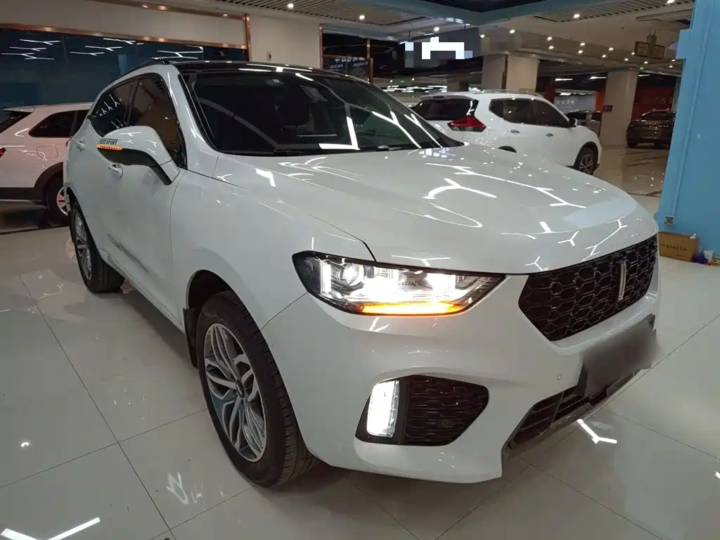 WEI PAI WEI BRAND VV5