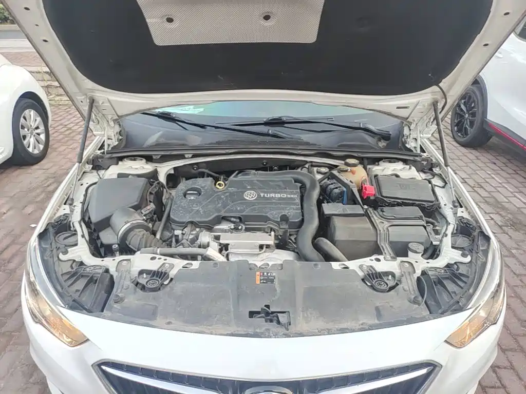 Buick Regal — миниатюра 20
