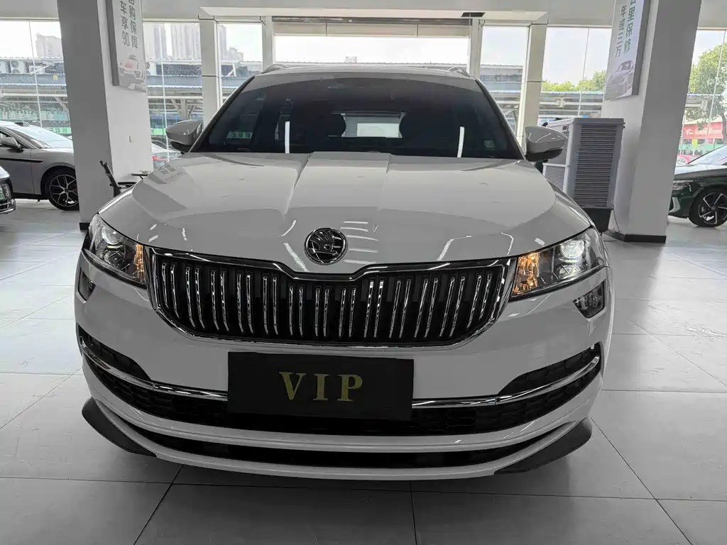 Skoda Karoq — миниатюра 2