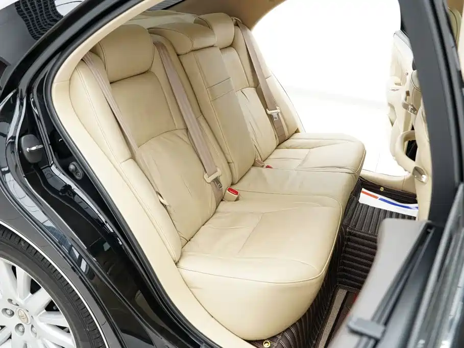 Hongqi Hongqi Shengshi — миниатюра 15