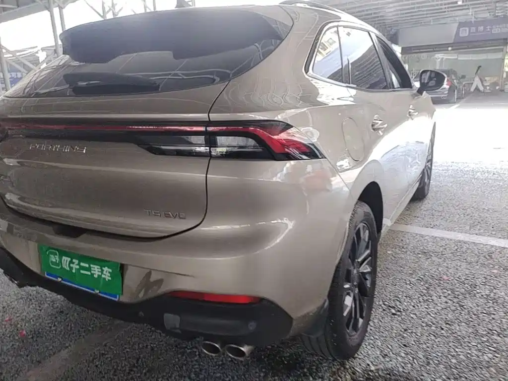 Fengxing Fengxing T5 EVO — миниатюра 8