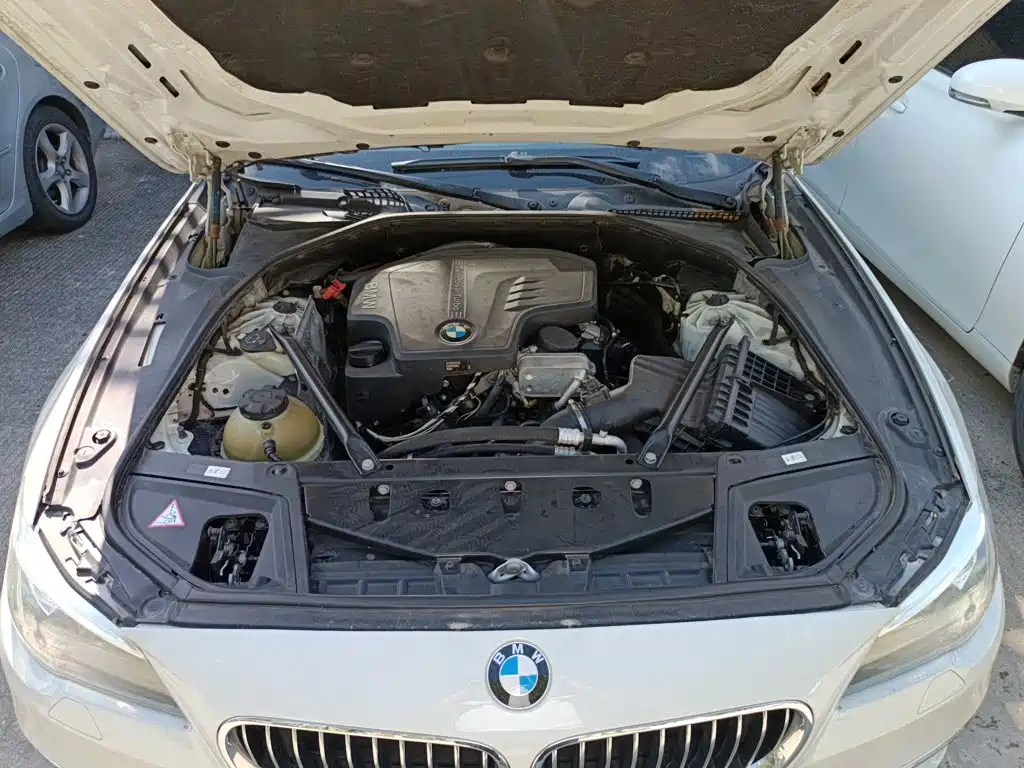 BMW 5 Series 5 2014 525Li Lead