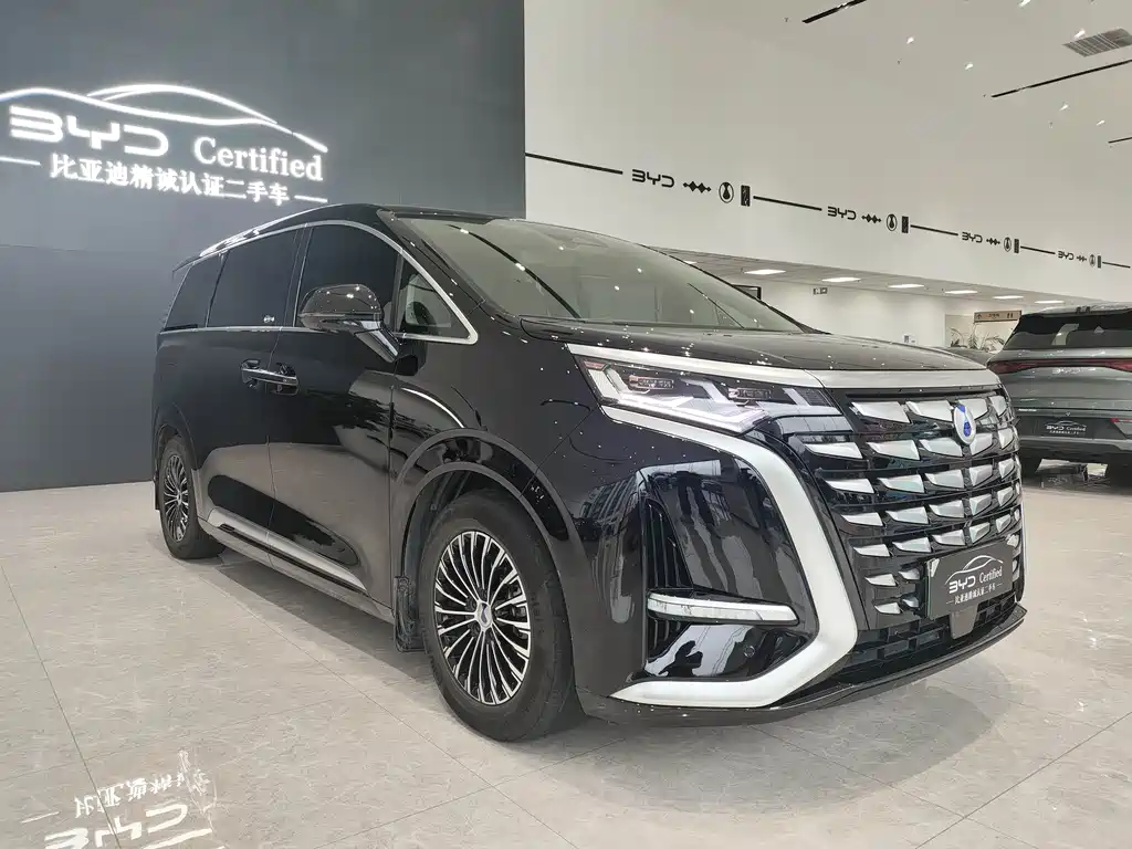 Denza Denza D9 — миниатюра 3