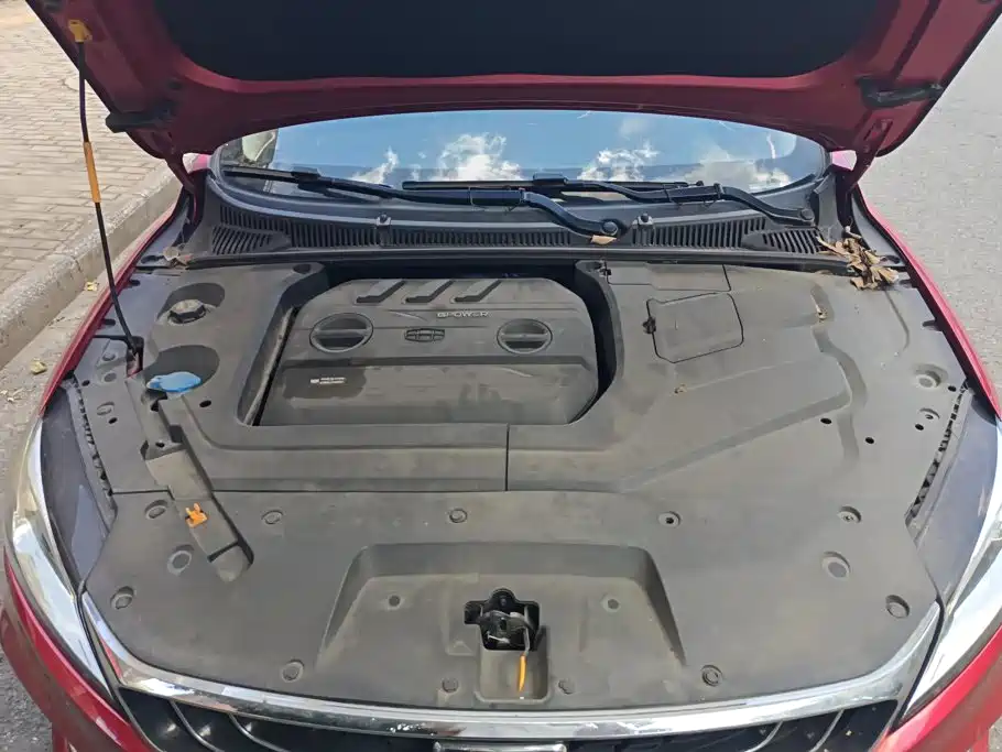 Geely Binrui — миниатюра 10