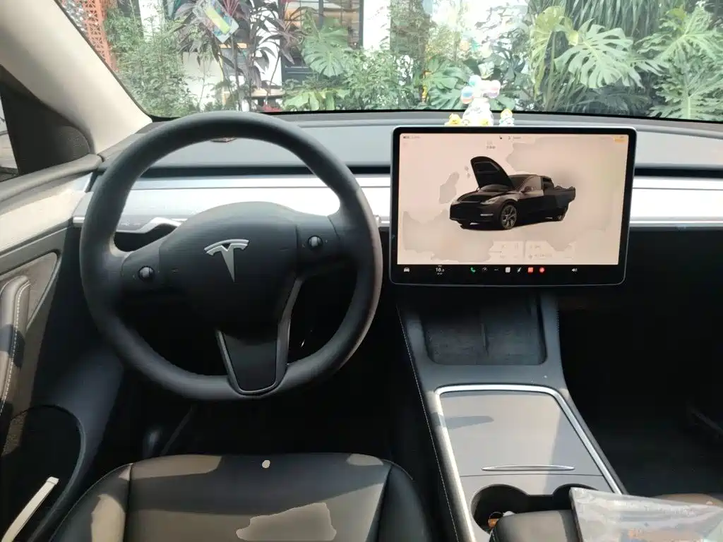 Tesla Model Y — миниатюра 11