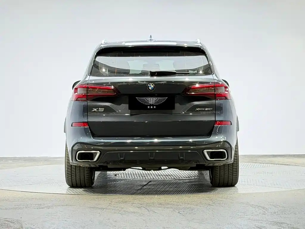 BMW X5 (Import) — миниатюра 3