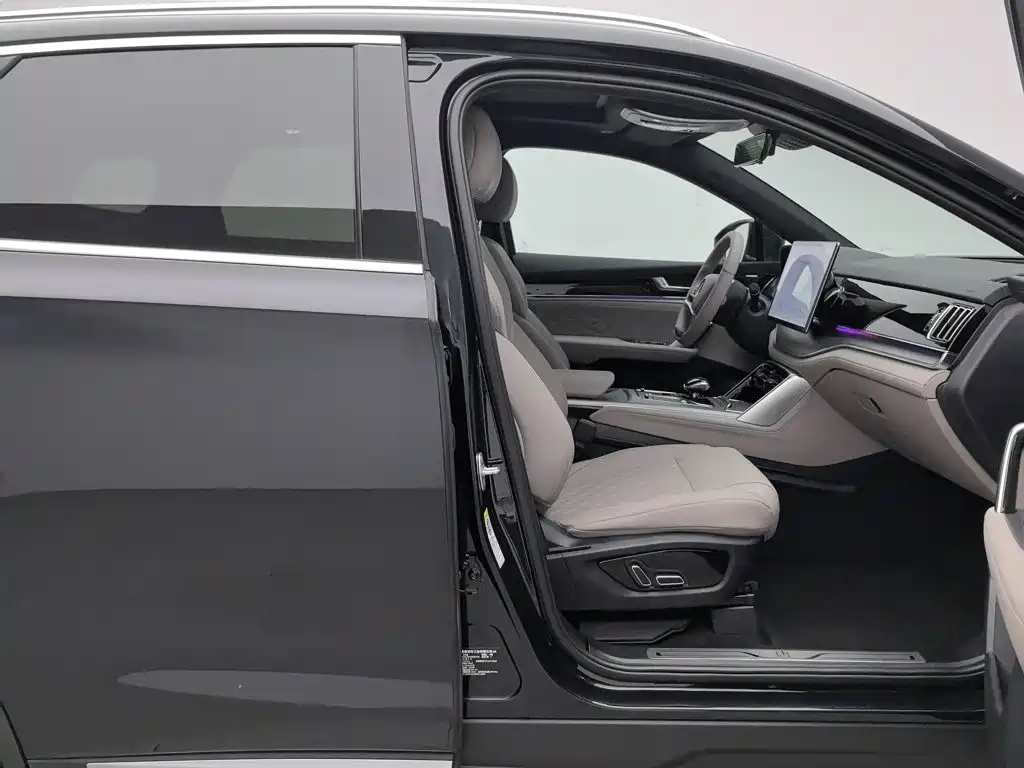 BYD Tang New Energy — миниатюра 23