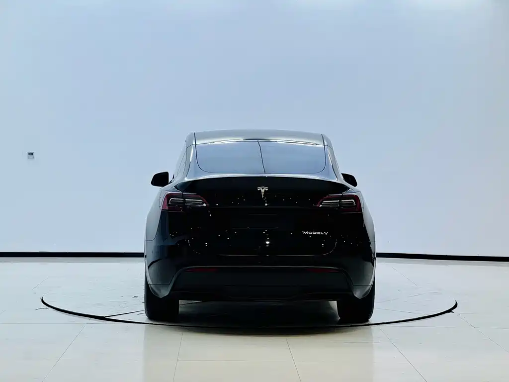 Tesla Model Y — миниатюра 15