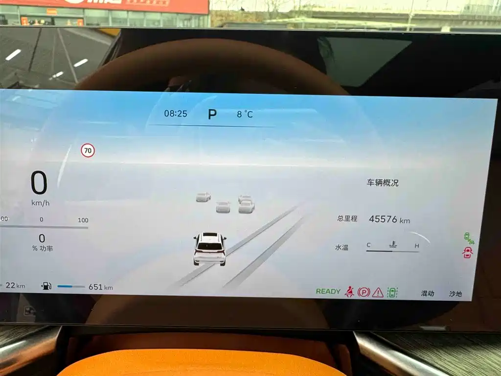 WEI PAI WEI BRAND BLUE MOUNTAIN